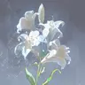 Profile image of 他の宝石達
