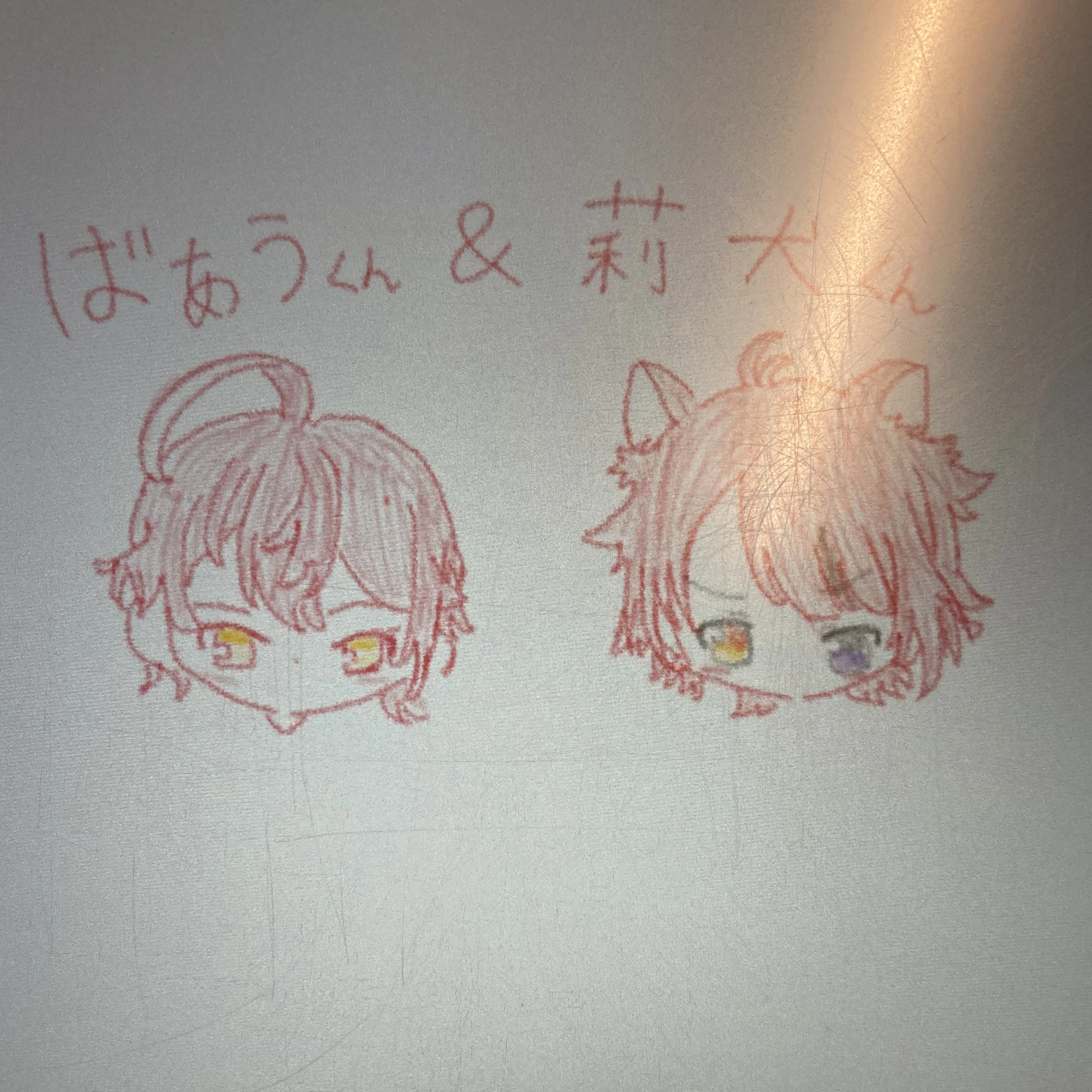 ばぁう