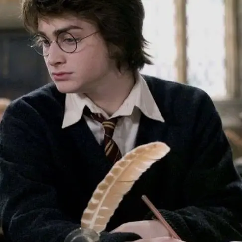 ems.in.TRWIH의 Harry Potter