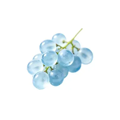 Profile image of みく