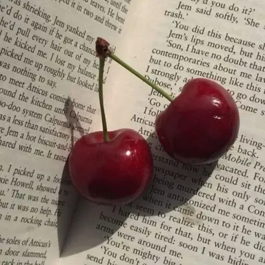 Profile image of 아름