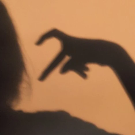 수현