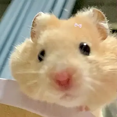 Profile image of 상황 설명