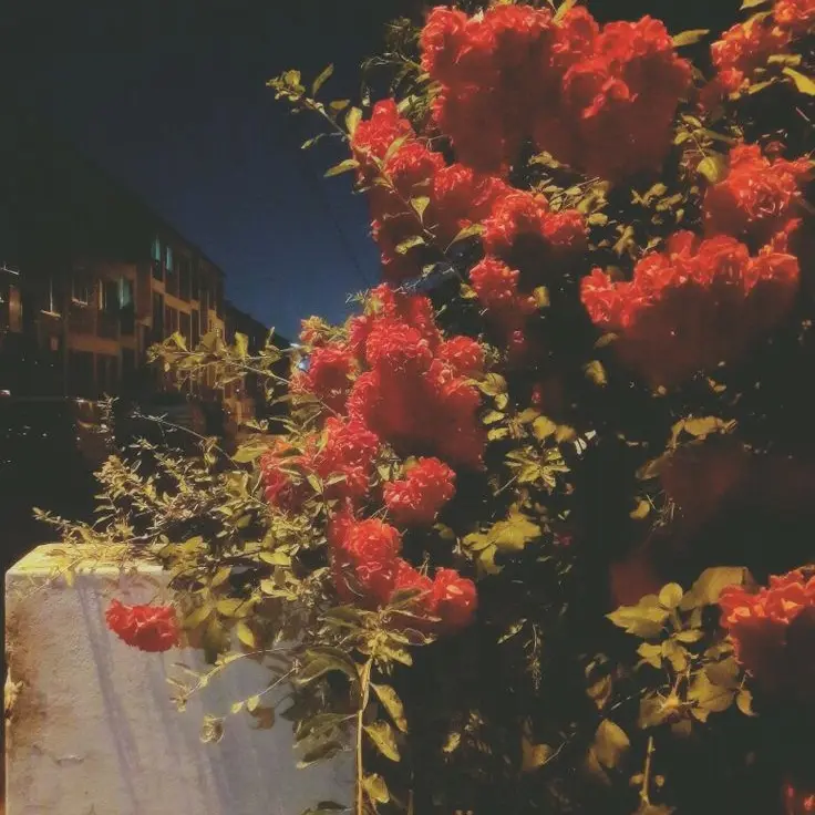 Cream_soda의 너는 나를, 나는 너를