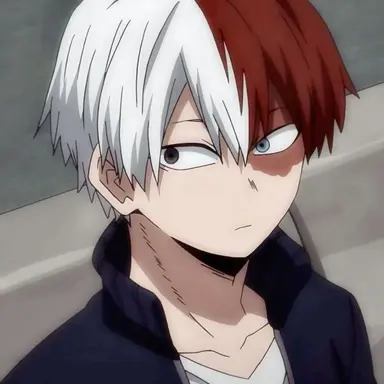 Profile image of Shoto Todoroki