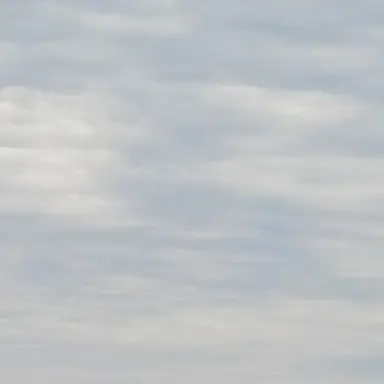 Profile image of 고고프렌즈