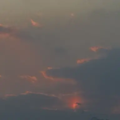 Profile image of 이상혁