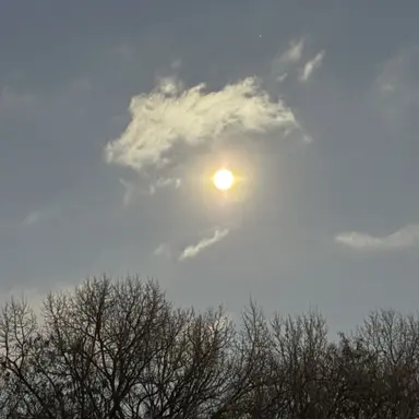 Profile image of 한동민