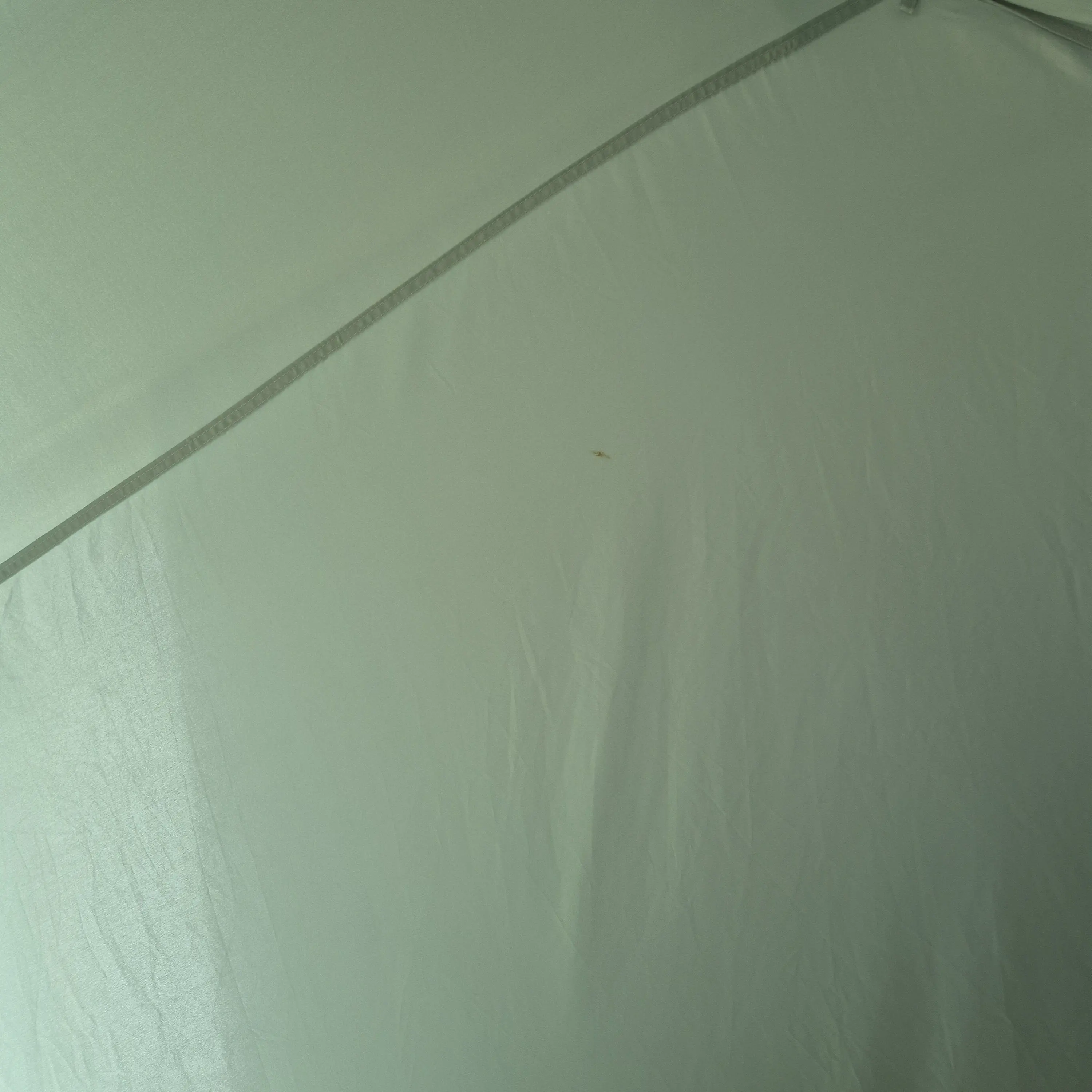 PrimFeces3447의 천하의 꽃피는 떡잎학교