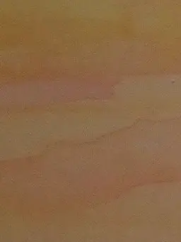 1206191719391130의 路地裏にいたCanada