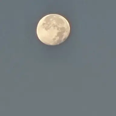 Profile image of 요시시 아쿠엔크라