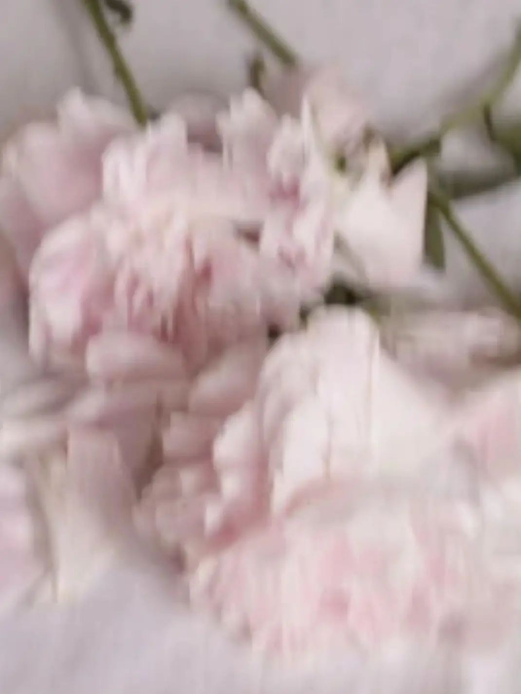 siokawa의 わたし限界なの。