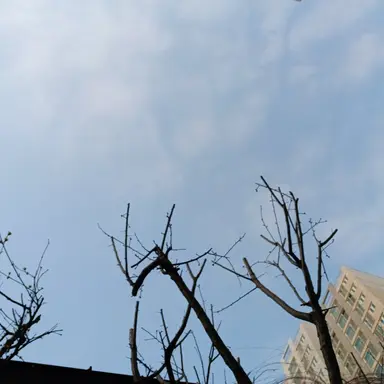 Profile image of 정공룡