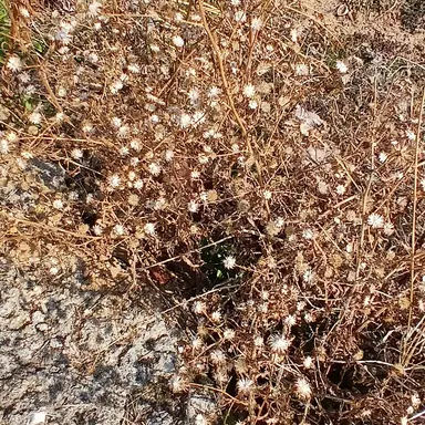 Profile image of 박덕개