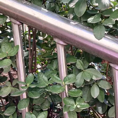 Profile image of 서라더