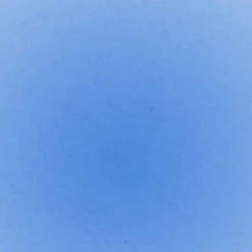 CloudyFeces4927의 犬猿ノ仲 .