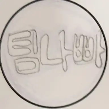 Profile image of 팀나빠