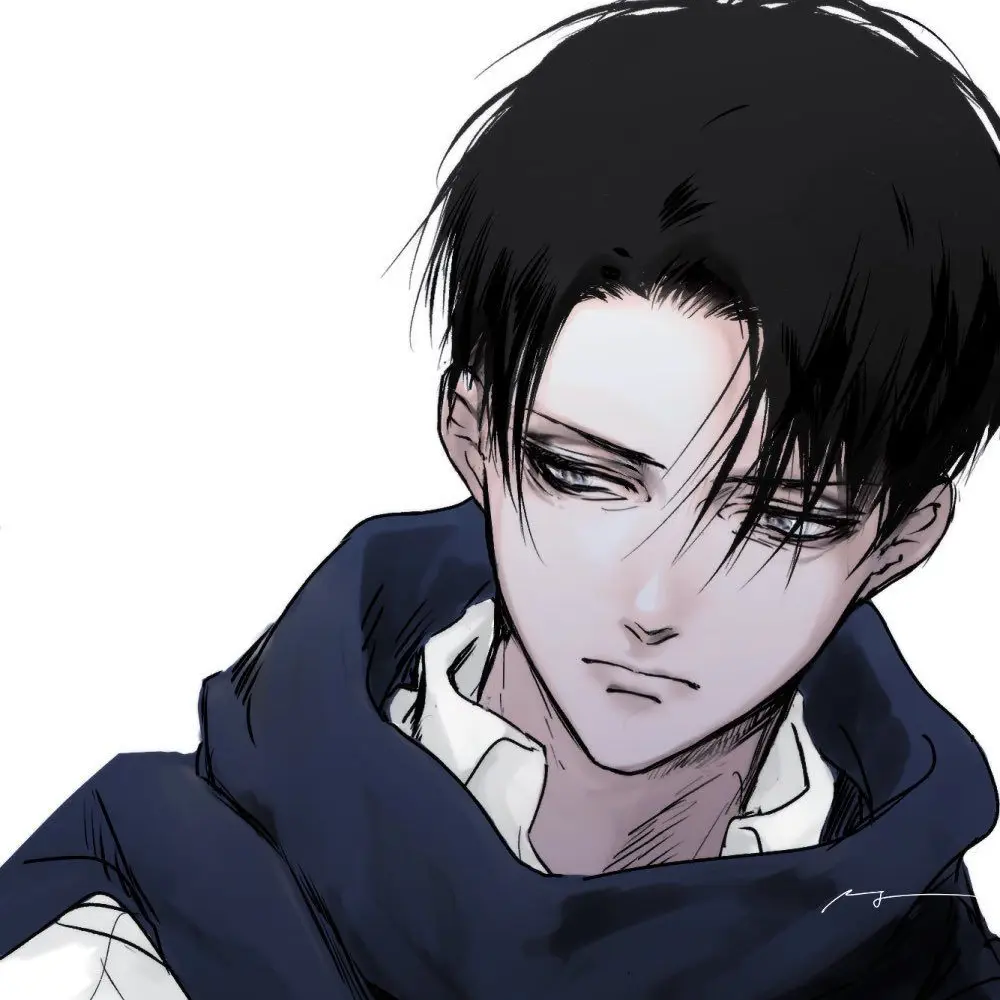 YaaaaaaHooooooo의 리바이 아커만