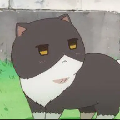 Profile image of 菊