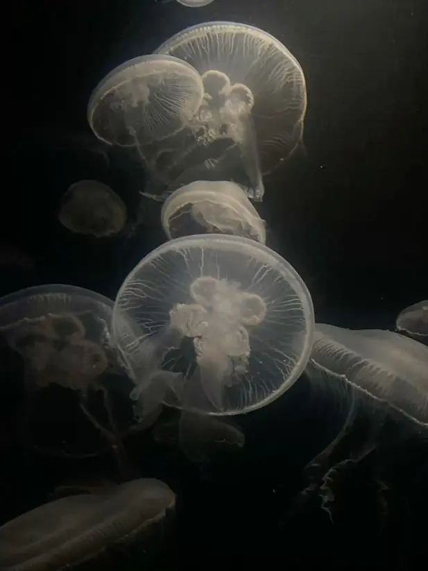 joahae_0.0의 潤景