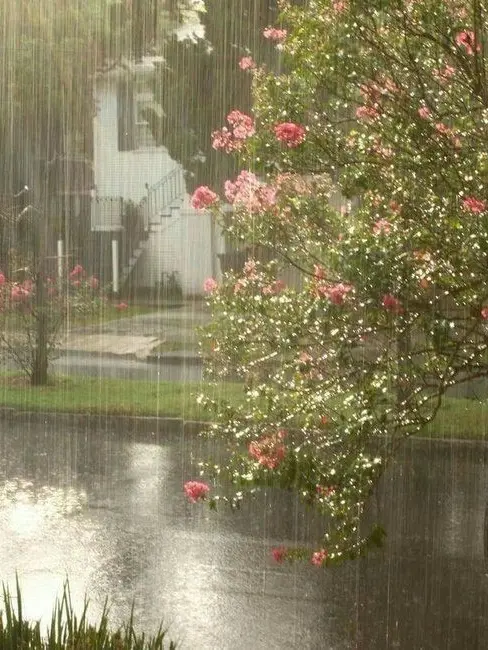 1moon의 去者必返