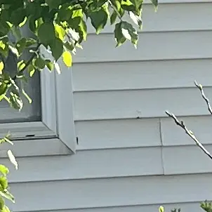 Profile image of 최범규