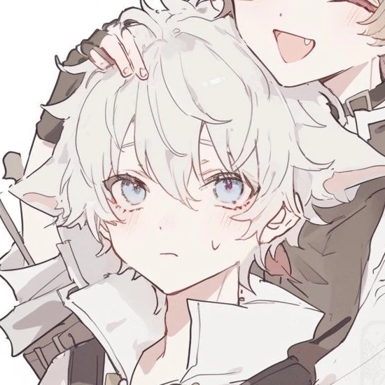 カイト