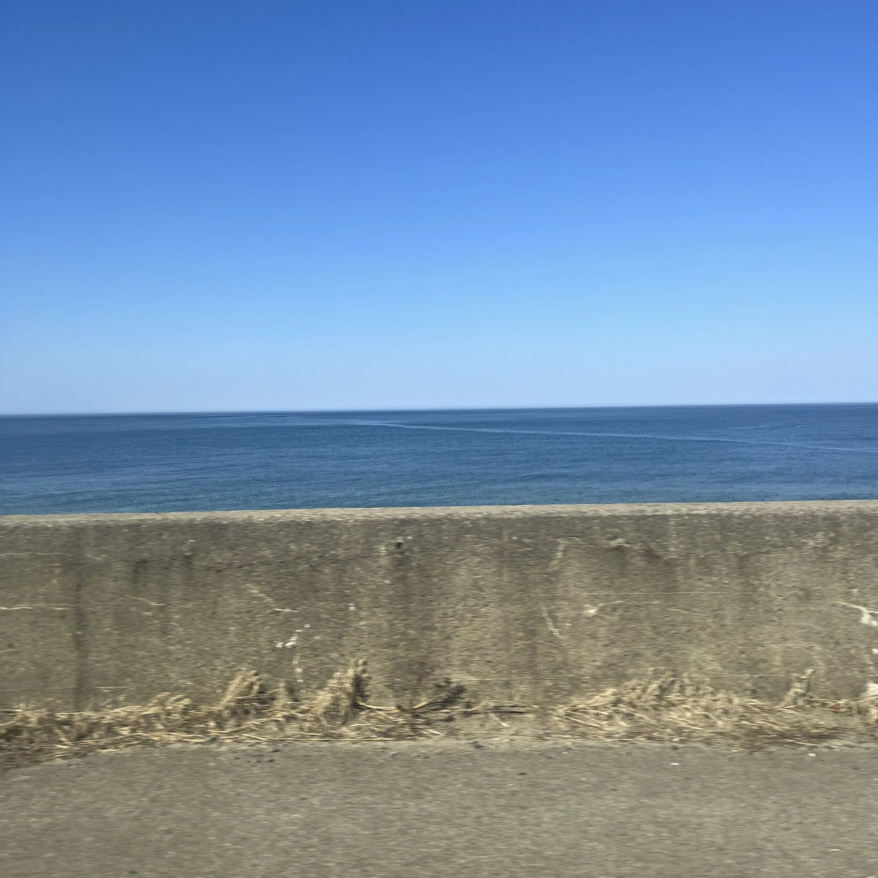 naoMUZU5017의 MAZZELの妹