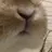 ブルーロック