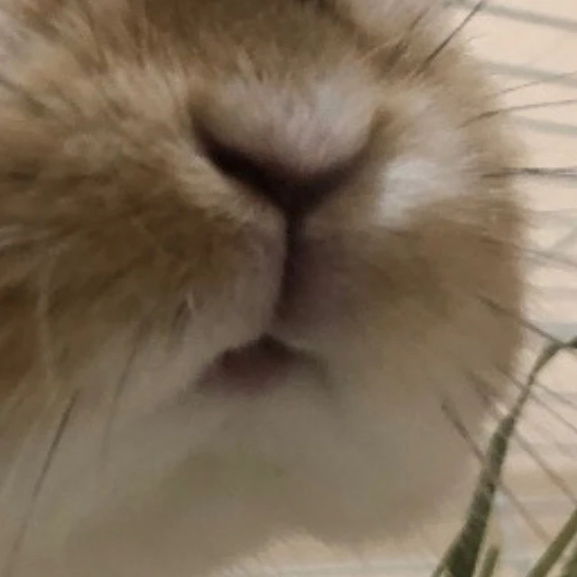 ブルーロック