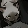 Profile image of ろき
