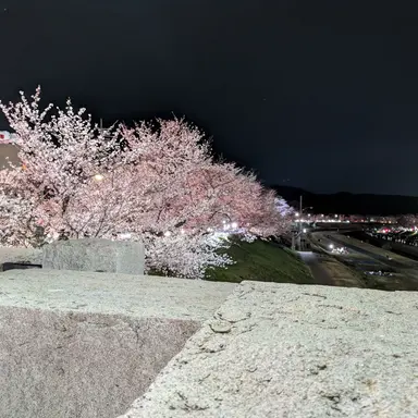 Profile image of 廉