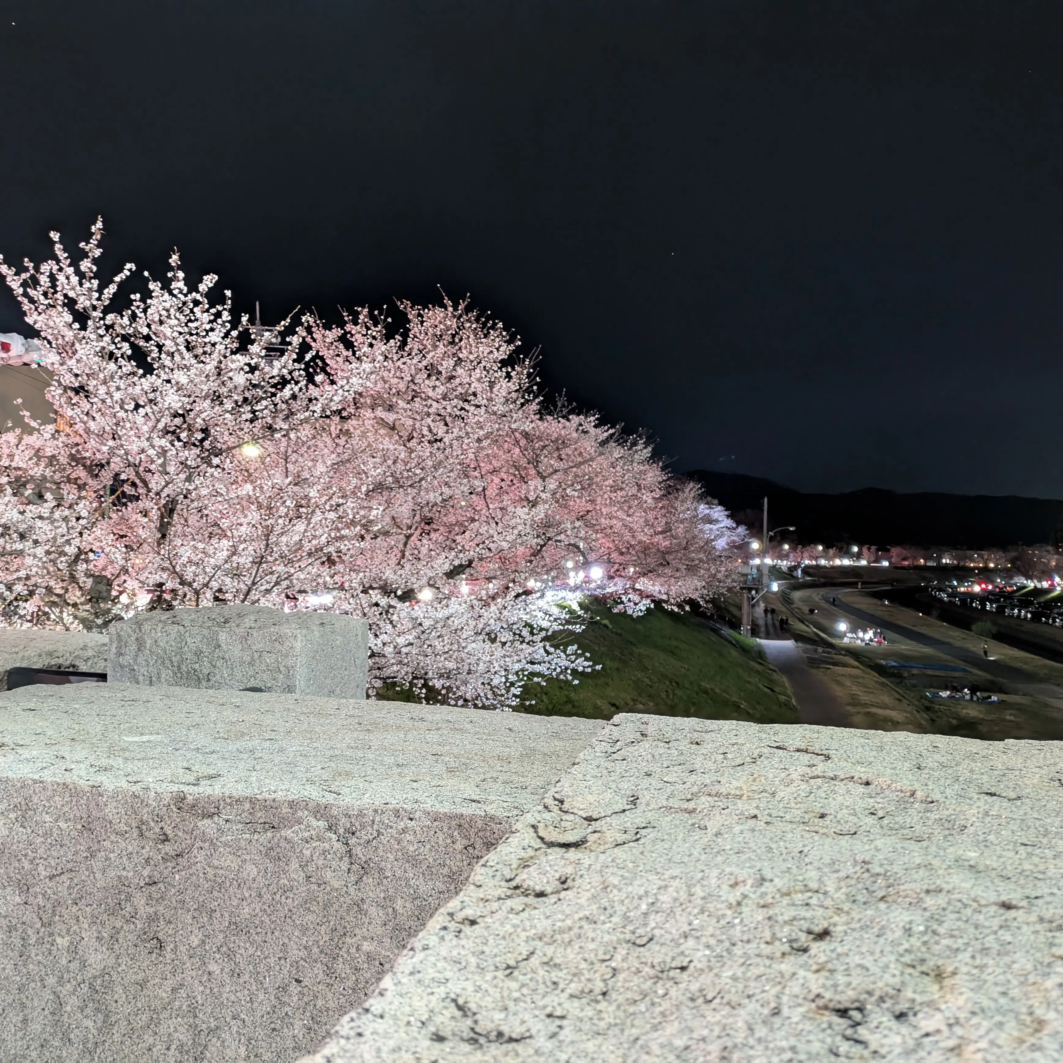 VagueOtter7836의 きさらぎ駅