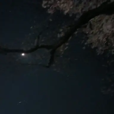 Profile image of 海人