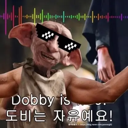 DaringCoach2881의 맛이 간 도비