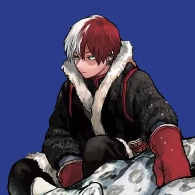 Profile image of Todoroki