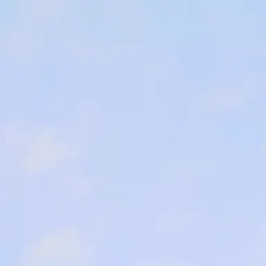 Profile image of 카타콤 혁명단