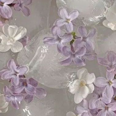 Profile image of 호시나 소우시로