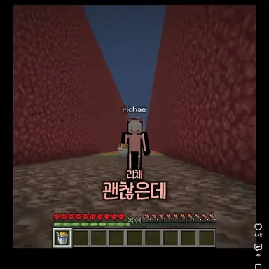 Profile image of 리채