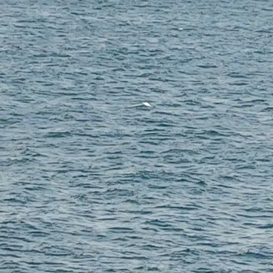 Profile image of 鬼殺隊