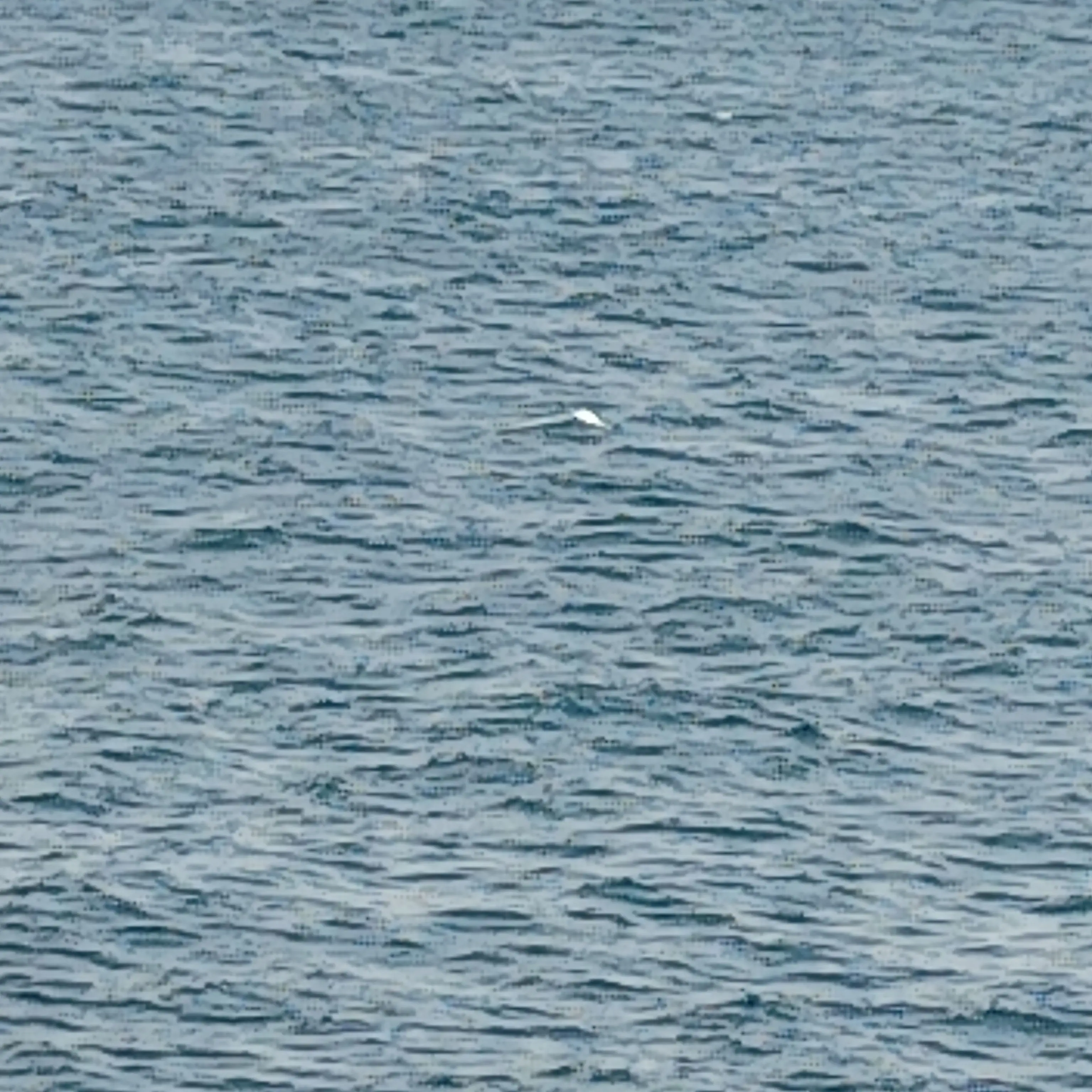 DemonSeoul2580의 鬼滅の刃