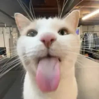 Profile image of 비럭키