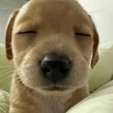 Profile image of 평학