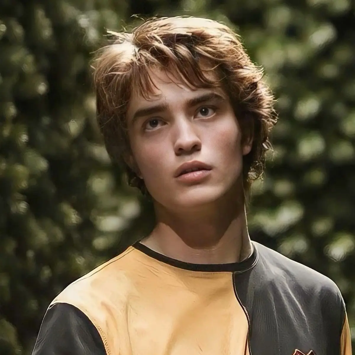 GentleMeter4460의 Cedric Diggory