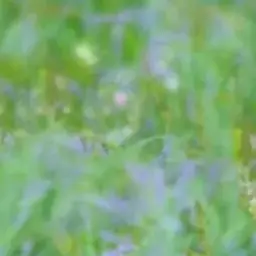 Profile image of 애순과 관식