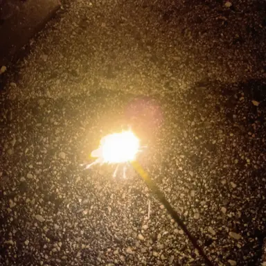 Profile image of ブリ子