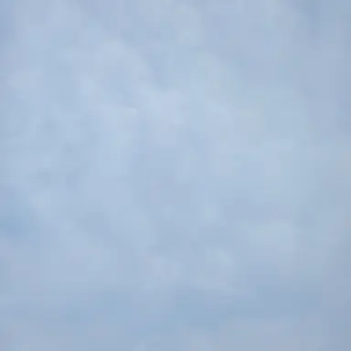 Profile image of 오바나이