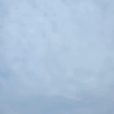 Profile image of 미츠리