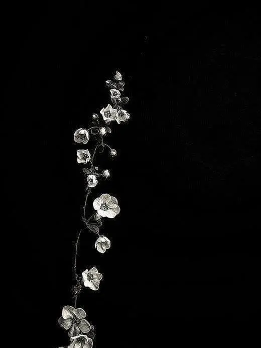 hiva_kuz의 ご主人様