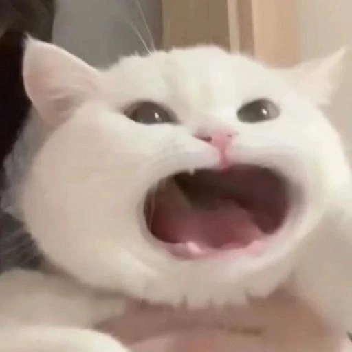 이희루